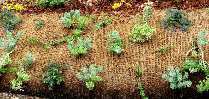 Erosion Control Installation