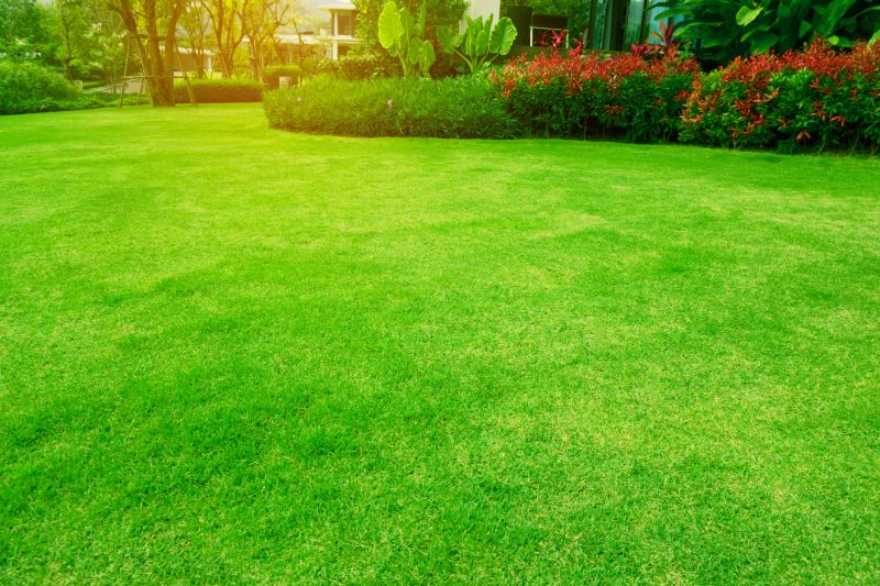 Lush Lawn Installations