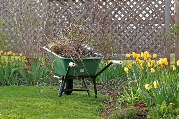 Flower Bed Cleanup Service in Bethesda