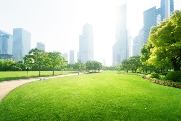 Commercial Landscape Maintenance in Bethesda
