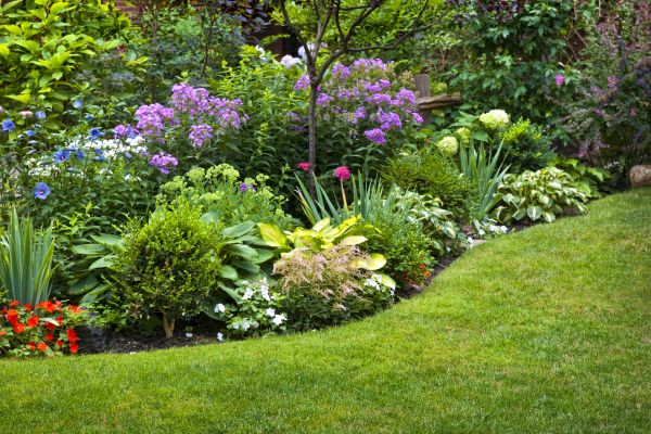 Flower Bed Service in Bethesda