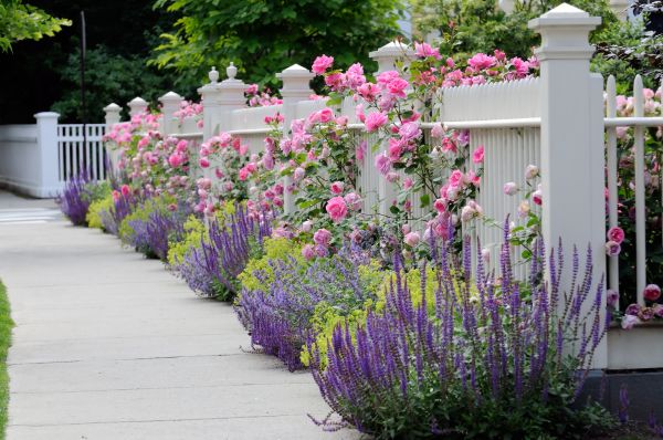 Garden Handyman Service in Bethesda
