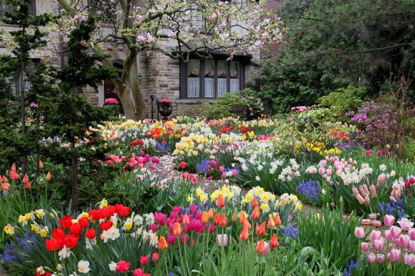 Garden Maintenance Service in Bethesda