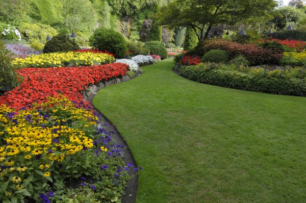 Landscaping Maintenance in Bethesda
