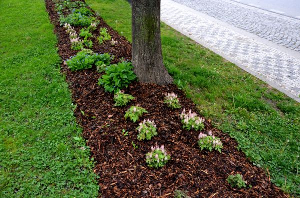 Mulch Replacement Service in Bethesda