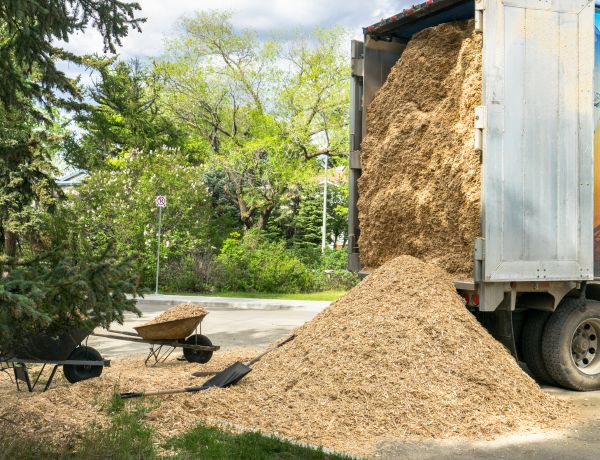 Wood Chips Delivery in Bethesda