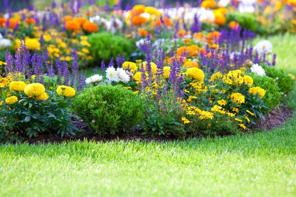 Garden Installation in Bethesda
