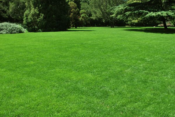 Lawn Landscaping in Bethesda