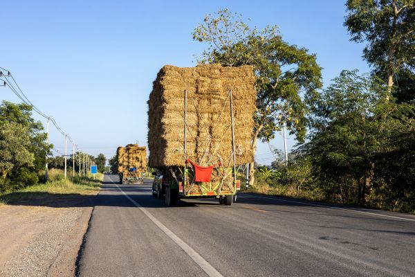 Pine Straw Delivery in Bethesda
