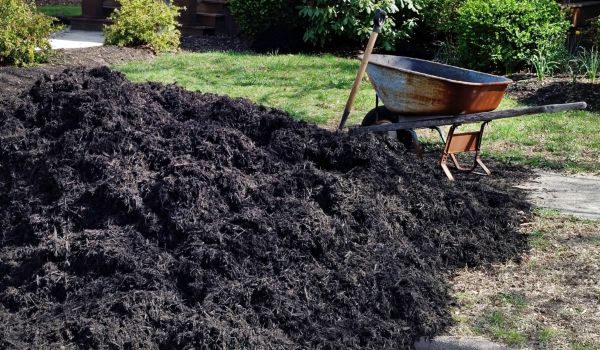 Black Mulch Delivery in Bethesda