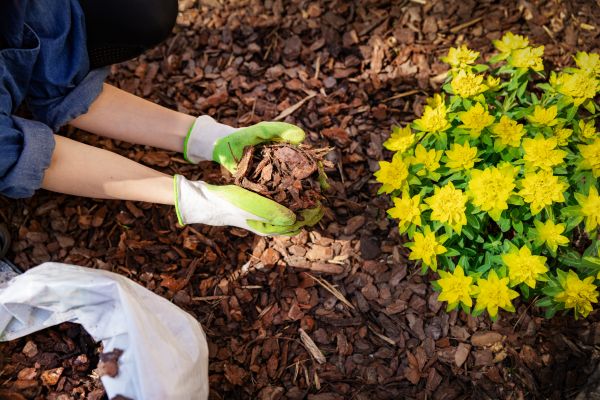 Garden Mulching in Bethesda