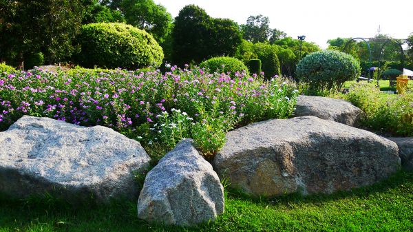 Boulder Landscaping in Bethesda