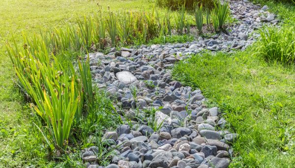 River Rock Garden Installation in Bethesda
