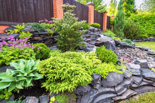 Landscape Remodeling in Bethesda