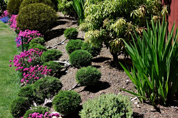Residential Gardening in Bethesda