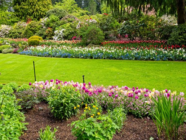Residential Landscape Design in Bethesda