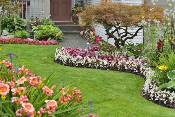 Perennial Landscaping in Bethesda