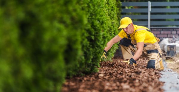 Cypress Mulch Installation in Bethesda