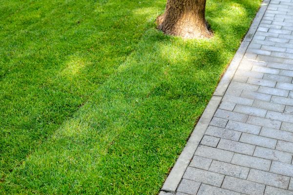 Border Stone Installation in Bethesda