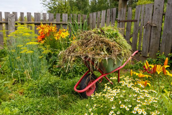 Garden Cleanup Service in Bethesda