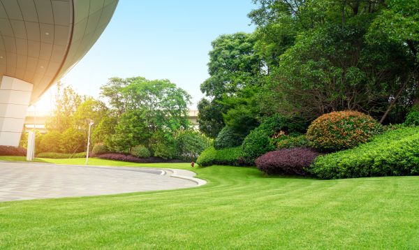 Business Landscape Design in Bethesda