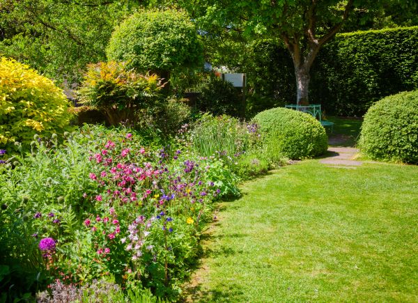 Yard Landscaping Service in Bethesda