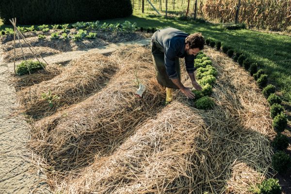 Straw Mulching Service in Bethesda