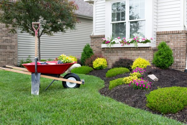 Tree And Shrub Planting in Bethesda