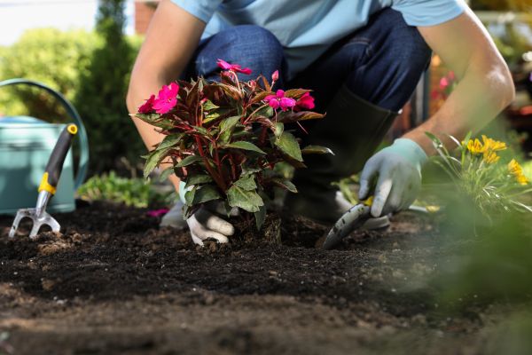 Plant Installation in Bethesda