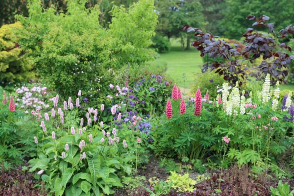 Flower Bed Planting in Bethesda
