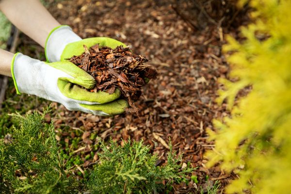 Garden Mulch Delivery in Bethesda