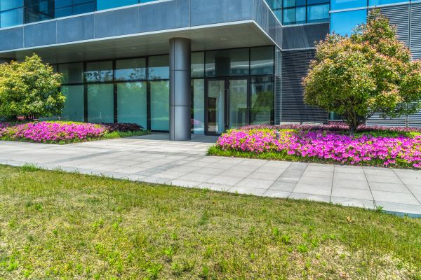 Commercial Gardening in Bethesda
