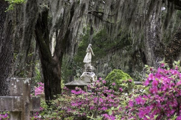 Cemetery Landscaping in Bethesda