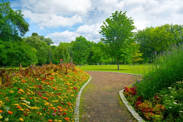 Park Landscaping in Bethesda