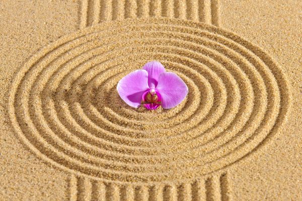 Sand Garden Landscaping in Bethesda