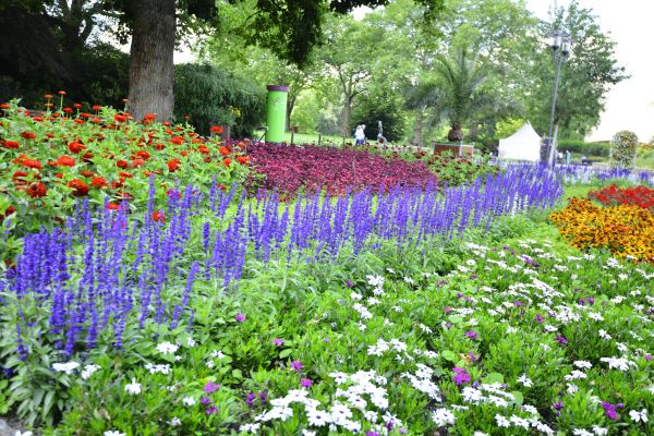 Perennials Planting in Bethesda