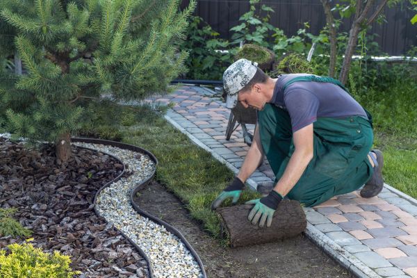 Landscaping Modification in Bethesda