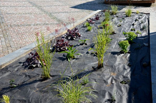 Landscape Fabric Installation in Bethesda