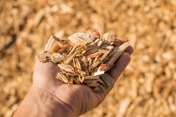 Wood Chips Spreading in Bethesda