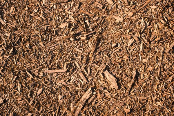 Wood Chips Removal in Bethesda