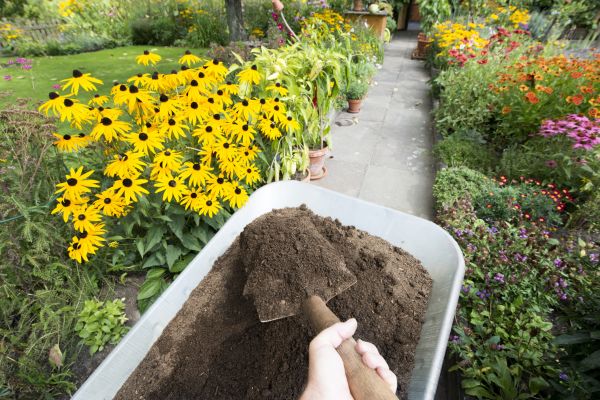 Topsoil Replacement in Bethesda