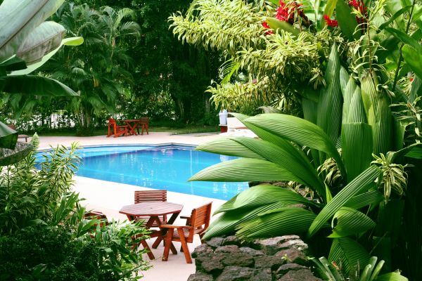 Pool Area Landscaping in Bethesda