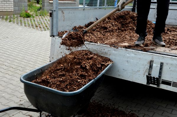 Cedar Mulch Delivery in Bethesda