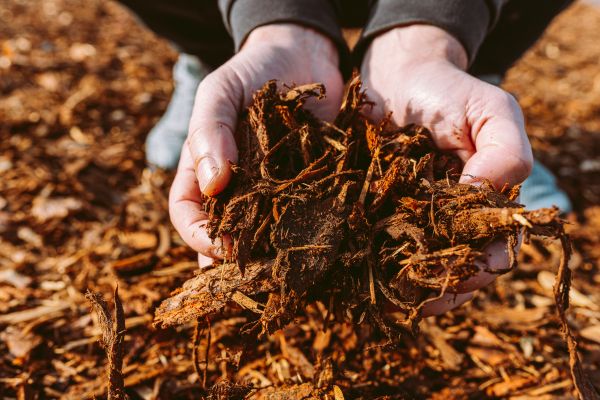 Bark Chips Delivery in Bethesda
