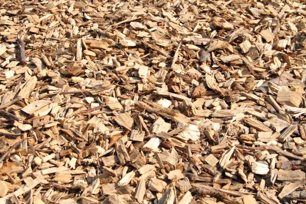 Wood Mulch Delivery in Bethesda
