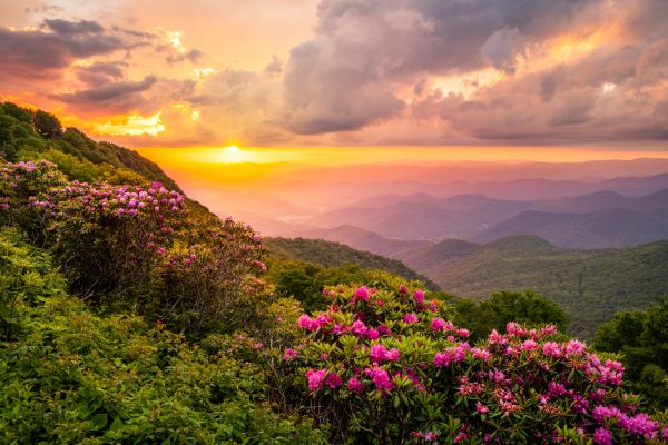 Hill Landscaping in Bethesda