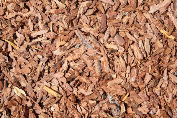 Pine Mulch Spreading in Bethesda