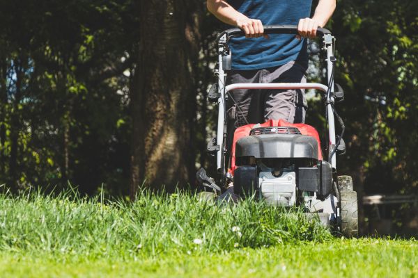 Garden Trimming Service in Bethesda