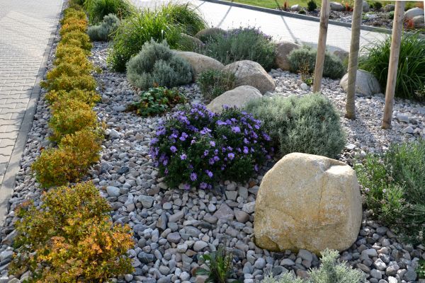 Decorative Rock Installation in Bethesda