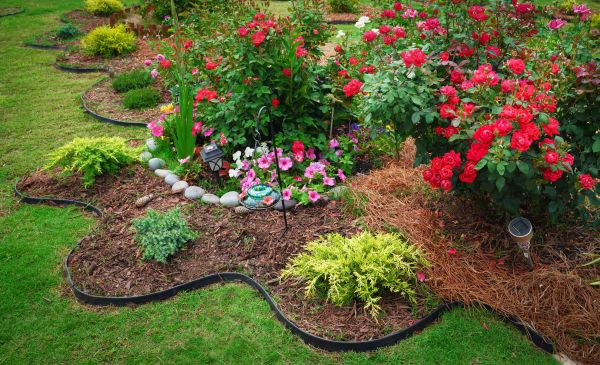 Floral Landscaping in Bethesda